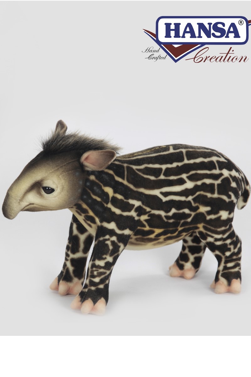 TAPIR