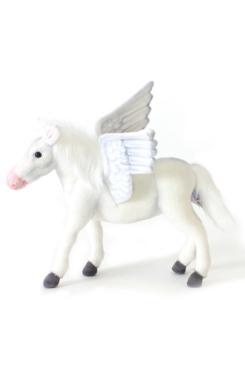 PEGASUS