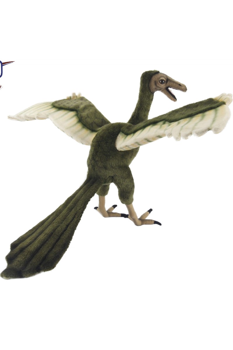 ARCHAEOPTERYX