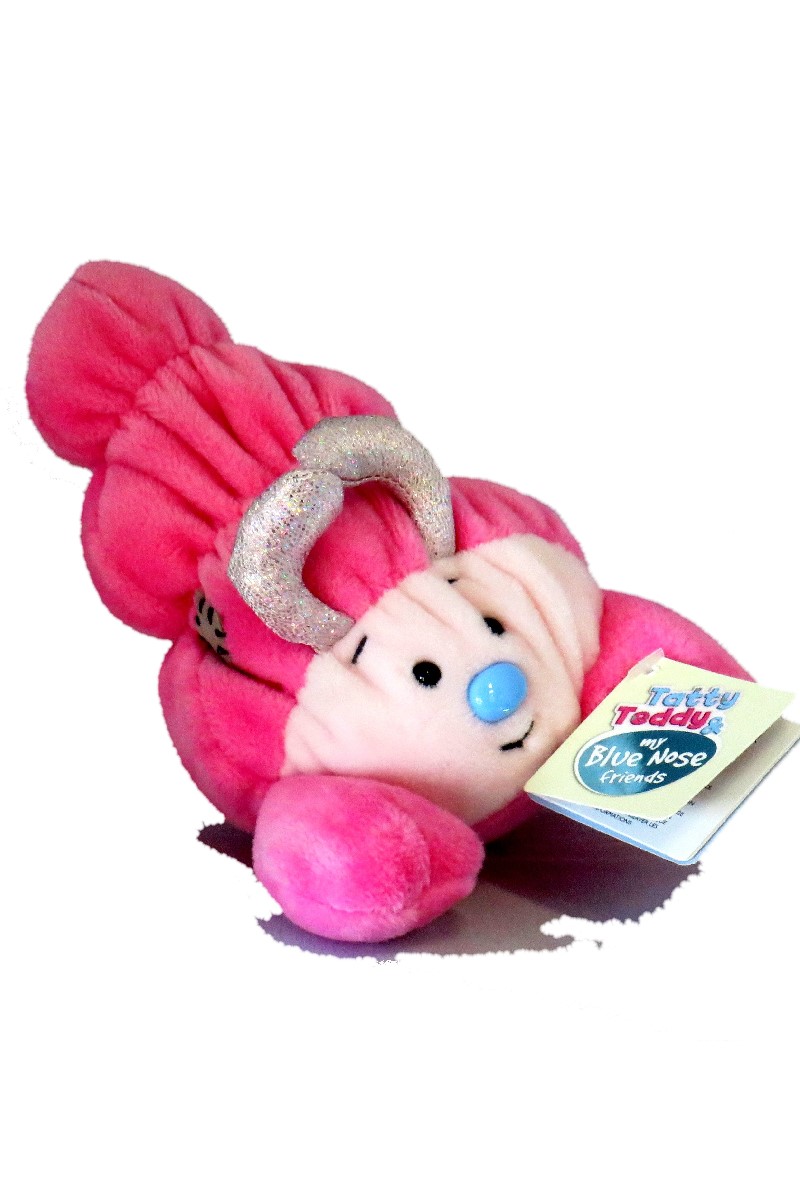MLBNF <br> SANDY HERMIT CRAB