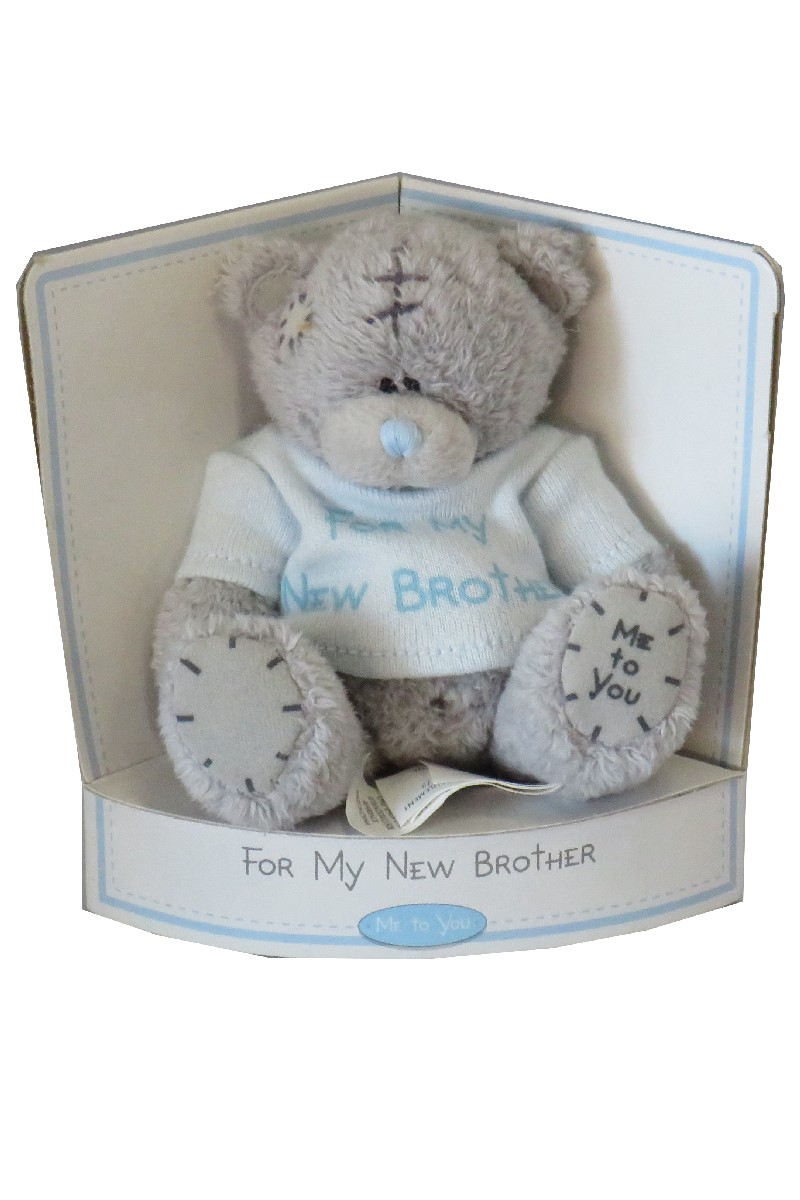 NEW BROTHER <br> TATTY TEDDY