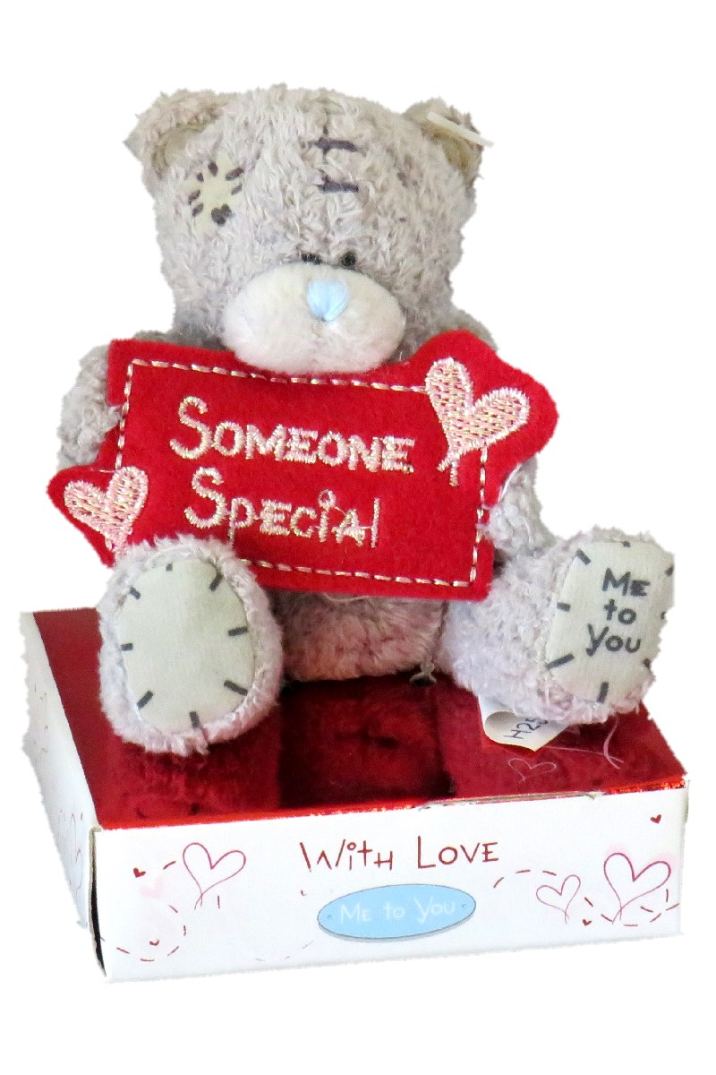 SOMEONE SPECIAL <br> TATTY TEDDY