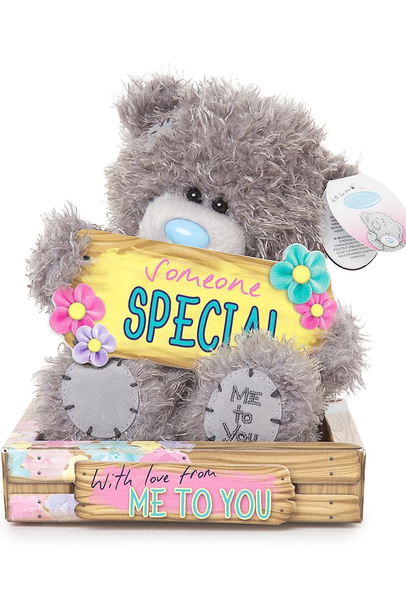 SOMEONE SPECIAL <br> TATTY TEDDY