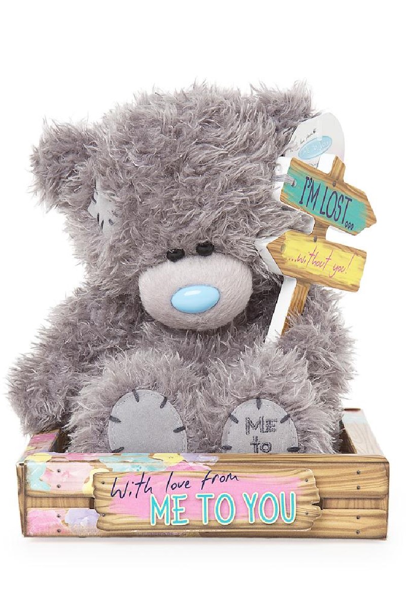 LOST SIGN <br> TATTY TEDDY