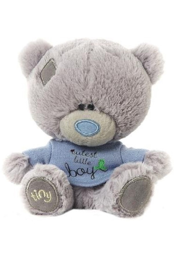 CUTE BOY <br> TATTY TEDDY