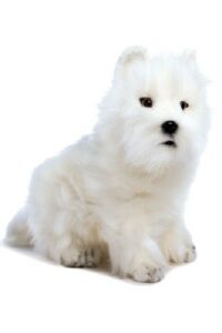 Buy WEST HIGHLAND TERRIER online from Nana's Teddies