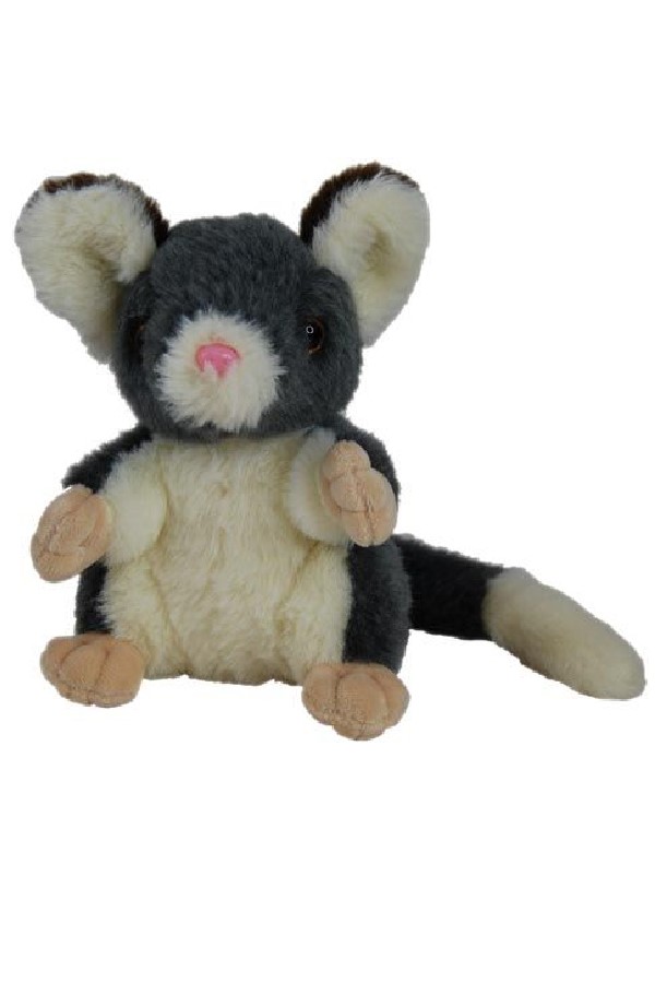 POSSUM SITTING