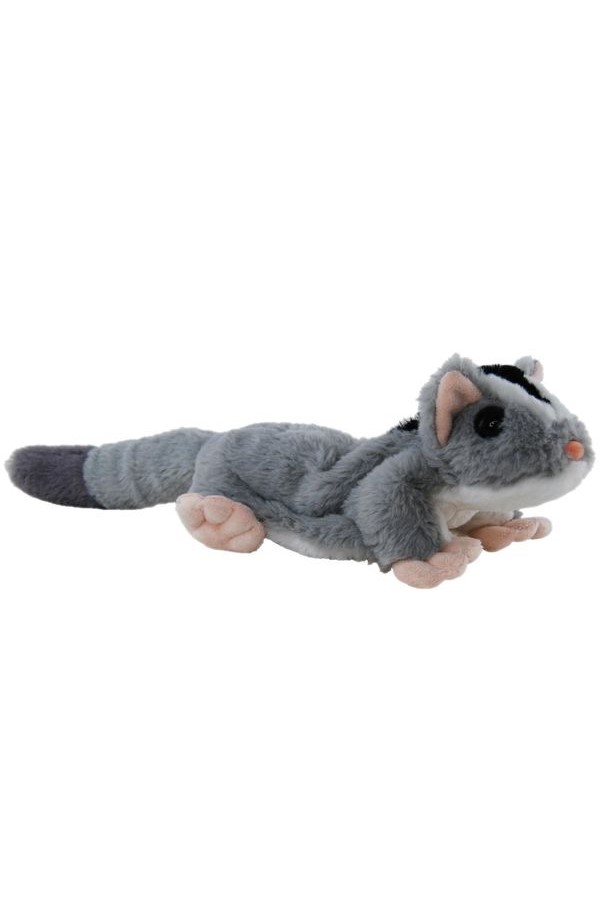 SUGAR GLIDER <br> ECO