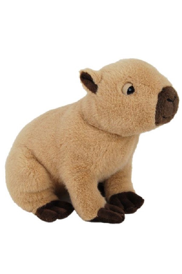 CAPYBARA SITTING
