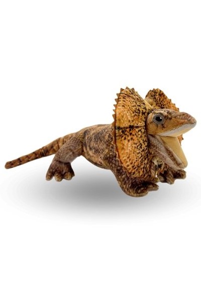 FRILLED NECK LIZARD