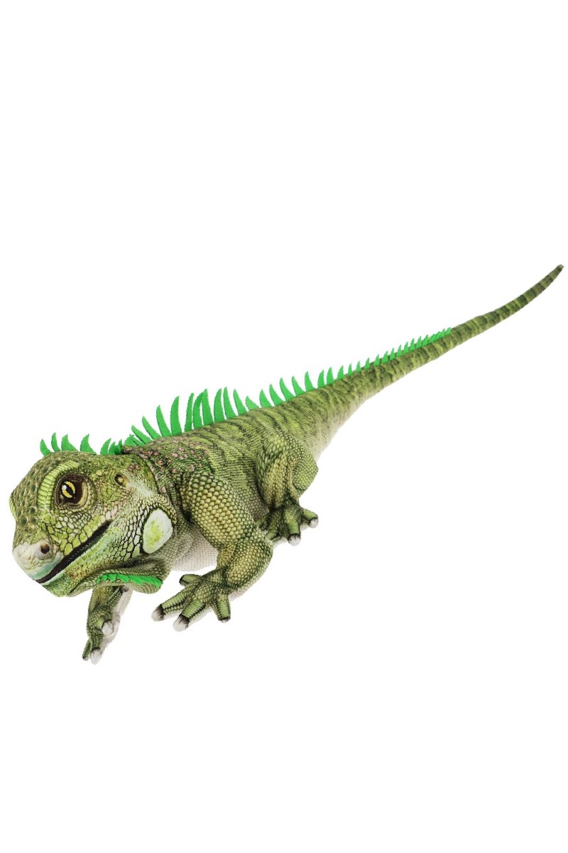 IGUANA <br> KEELECO